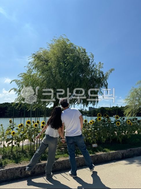 후쿠오카,오호리공원,오호리,일본,연인,부부,커플,공원,해바라기