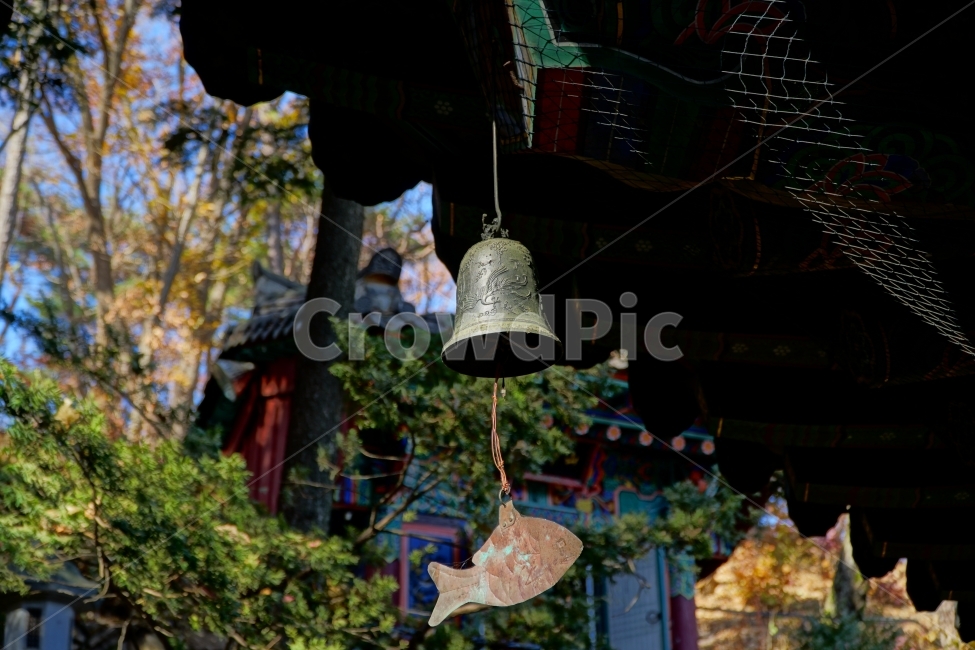 한국,한국전통,한국문화,전통,문화,한옥,불교,사찰,절,종교,korea,seoul,tradition,custom,culture,Buddhism,기와,지붕,처마,건물,건축,종,종소리,풍경,잉어,붕어,물고기,사물,오브젝트,object,landscape,역사,히스토리,history,11월,한국풍경,한국자연,한국적인,한국전통,한국문화,korean traditional,korean culture,사물,물건,오브젝트,thing,object,matter