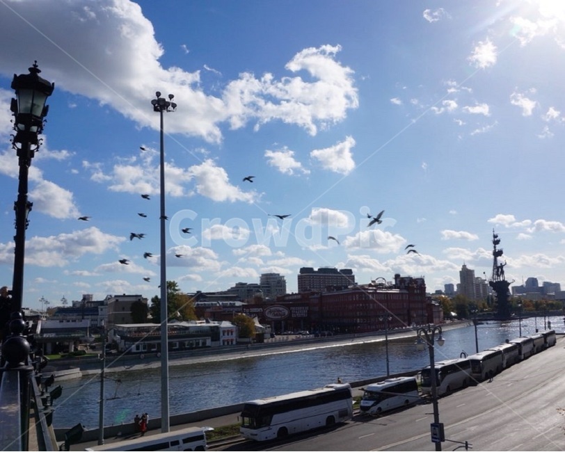 모스크바,러시아,공원,다리,가로등,버스,햇살,날씨,화창한,구름,하늘,새,moscow,russia,park,산책,bridge,streetlight,bus,inaraw,sunny,weather,cloud,sky,bluesky,bird,birds,flying,flyingbirds,도시,풍경,city,landscape,해외,외국,세계,foreign,oversea,world,세계도시풍경,해외도시풍경,외국도시풍경,world cityscape,교통,교통수단,traffic,transportation,animal,동물