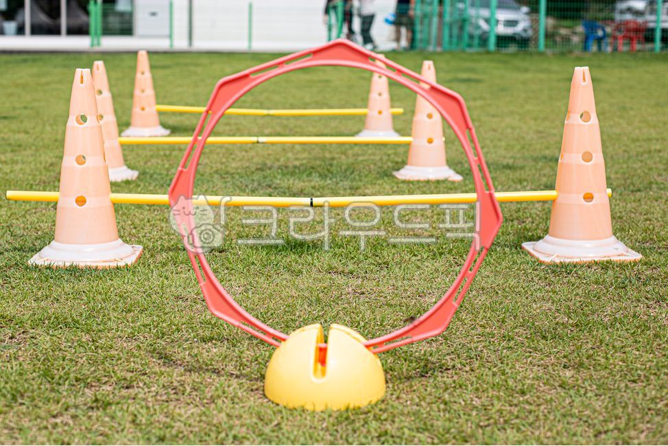 grass,hurdle,dog hurdles,Agility,training,dog cafe,pet dog,dog,Playground