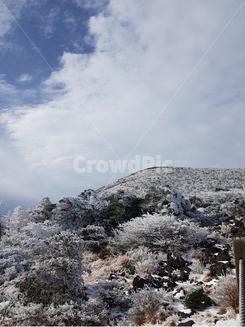 설산,겨울,눈꽃,겨울나무,겨울풍경,한라산,겨울산,눈,nature,자연,겨울,계절,winter,season,자연,풍경,nature,landscape