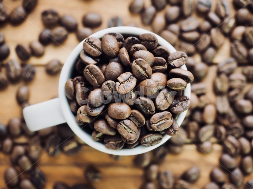 커피원두,원두,커피콩,로스팅원두,로스팅,커피,아메리카노,배경,음료,coffeebeans,coffeebean,roastingbeans,roasting,coffee,americano,background,beverage,커피,카페,coffee,cafe