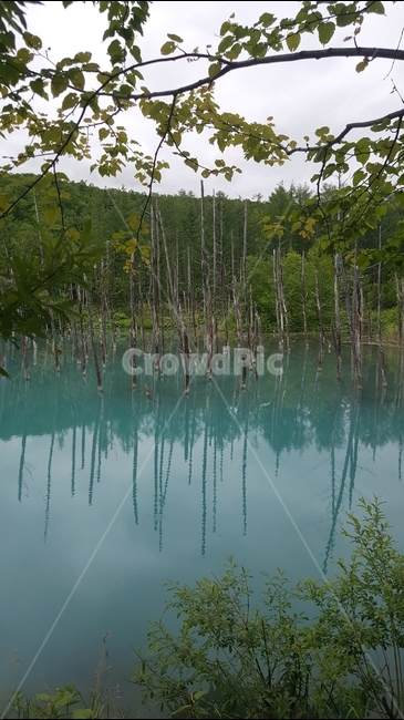 삿포르,삿뽀르,홋카이도,청의호수,일본,폭포,경관,자연,비경,자연,풍경,nature,landscape,해외,외국,세계,foreign,oversea,world,세계자연풍경,해외자연풍경,외국자연풍경,world nature landscape,outdoors,옥외,land,땅,water,물
