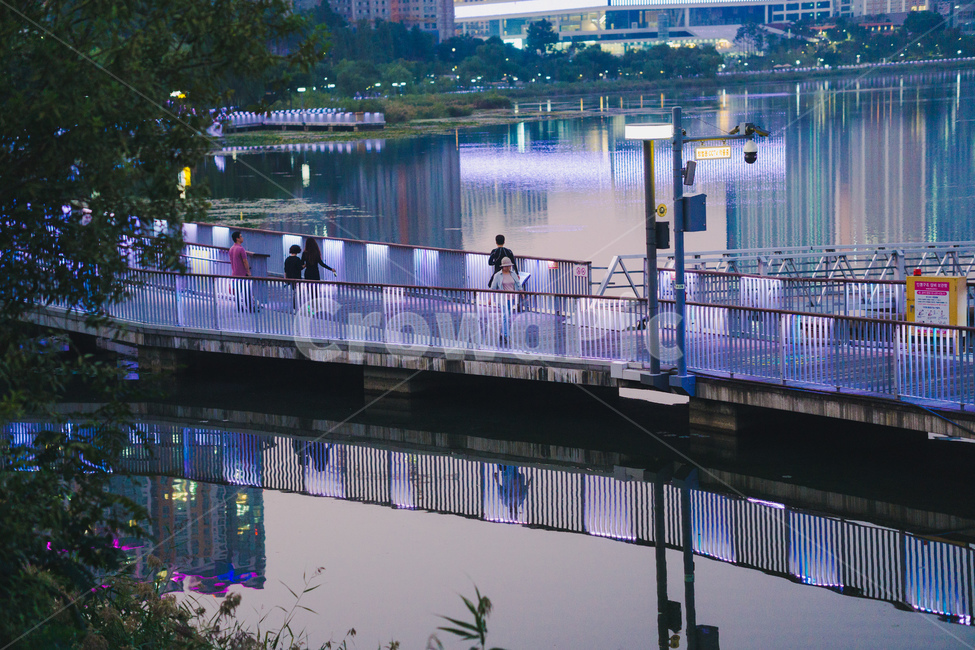 water,물,park,공원,반사,reflect