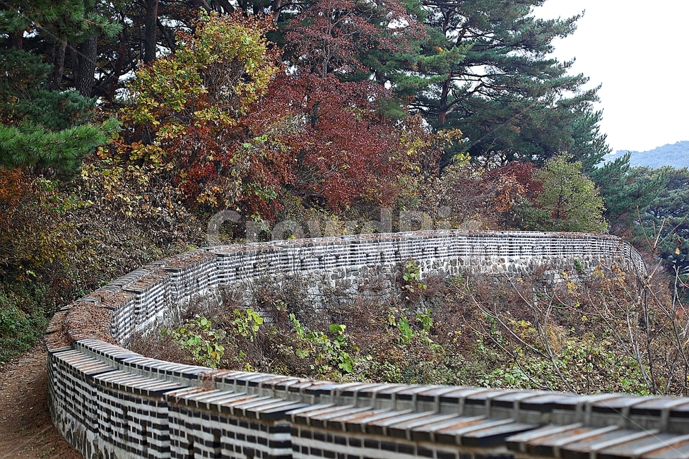 남한산성,성,성곽,단풍,낙엽,길,둘레길,숲,숲길,담,돌담,가을,자연,풍경,벽,울긋불긋,산성,식물,가을,계절,fall,autumn,season