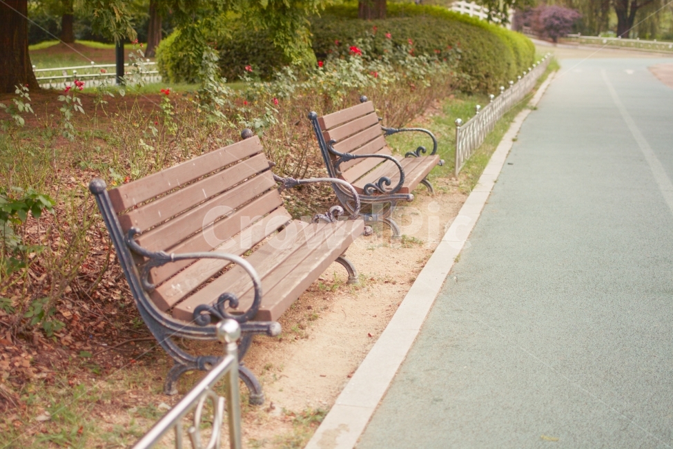 공원,벤치,여유,신책,산책로,운동,일상,가을,봄,park