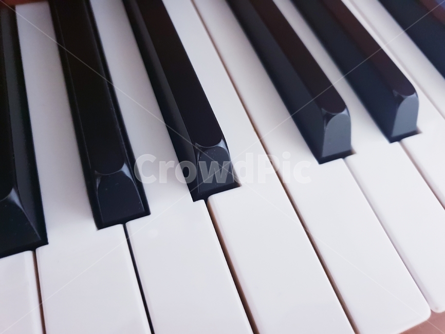 피아노,건반,피아노건반,음악,piano,악기,음향기기,musical instrument,musical equipment