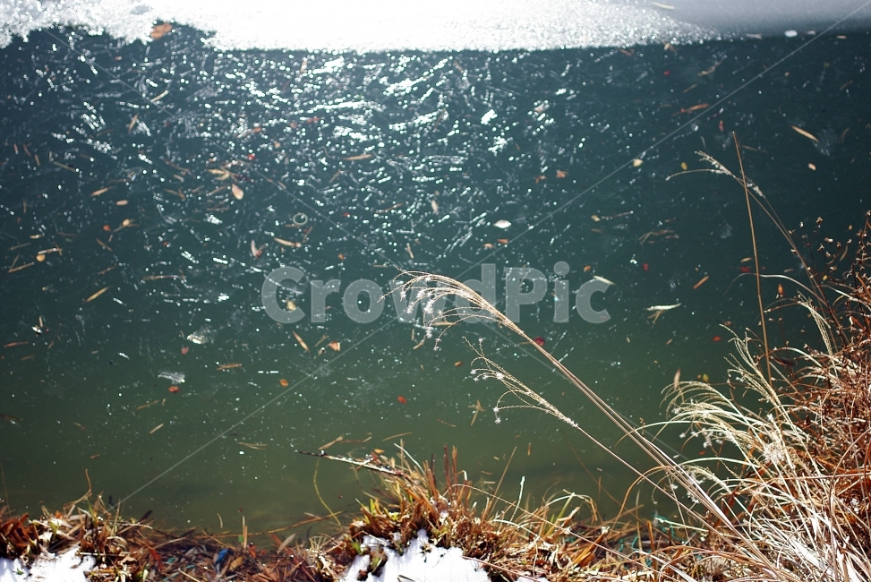 호수,석촌호수,눈,겨울,갈대,겨울,계절,winter,season,자연,풍경,nature,landscape,outdoors,옥외