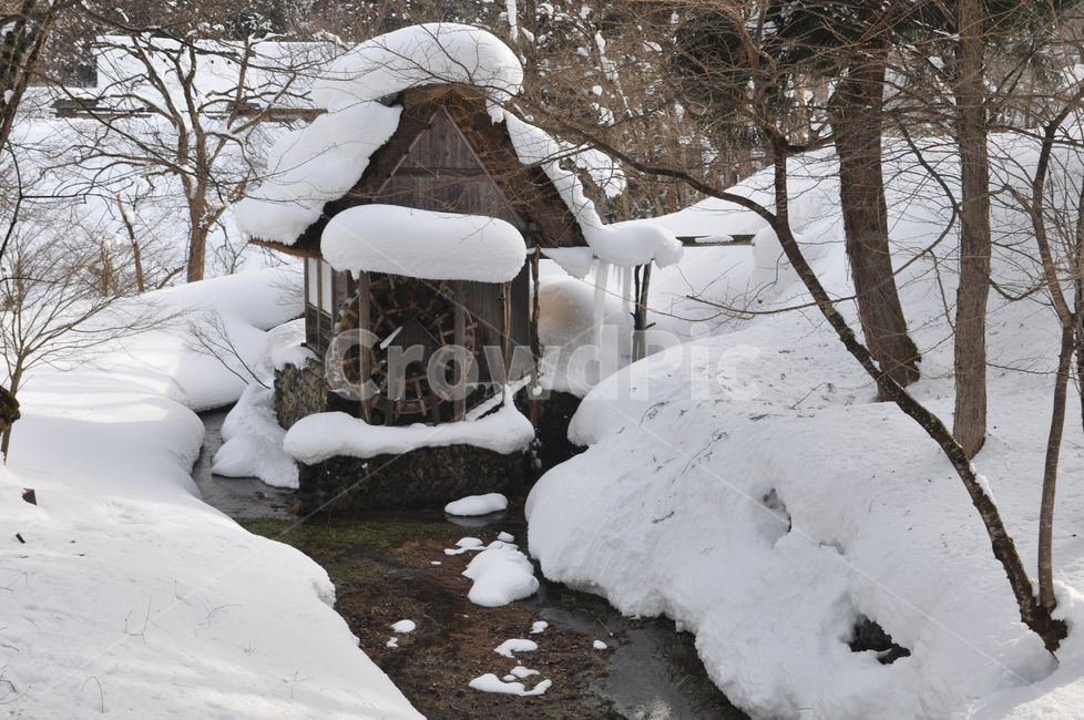 물레방아,겨울물레방아,눈,함박눈,시라카와고,겨울,계절,winter,season