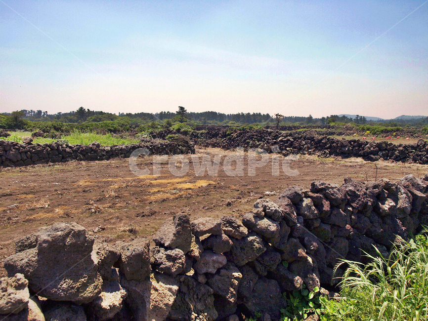 제주,올레1코스,자연,들,밭,종달리,돌담,제주도,jeju,jeju island,ground,바닥,soil,흙,rubble,파편