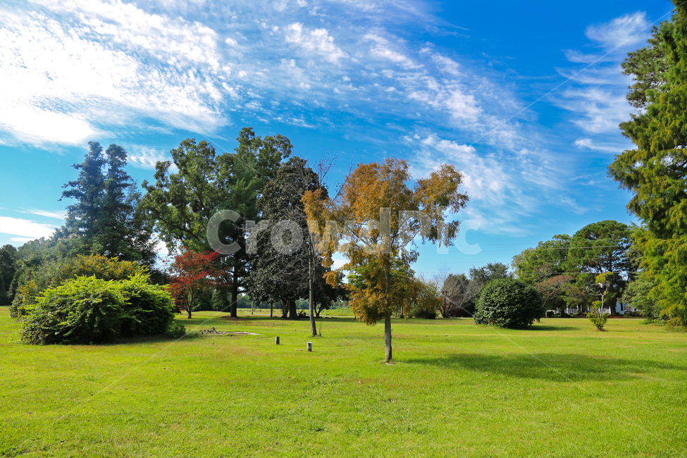 정원,마당,잔디밭,잔디,시골,자연,풍경,nature,landscape,grass,plant,식물,lawn,outdoors,옥외,park,공원