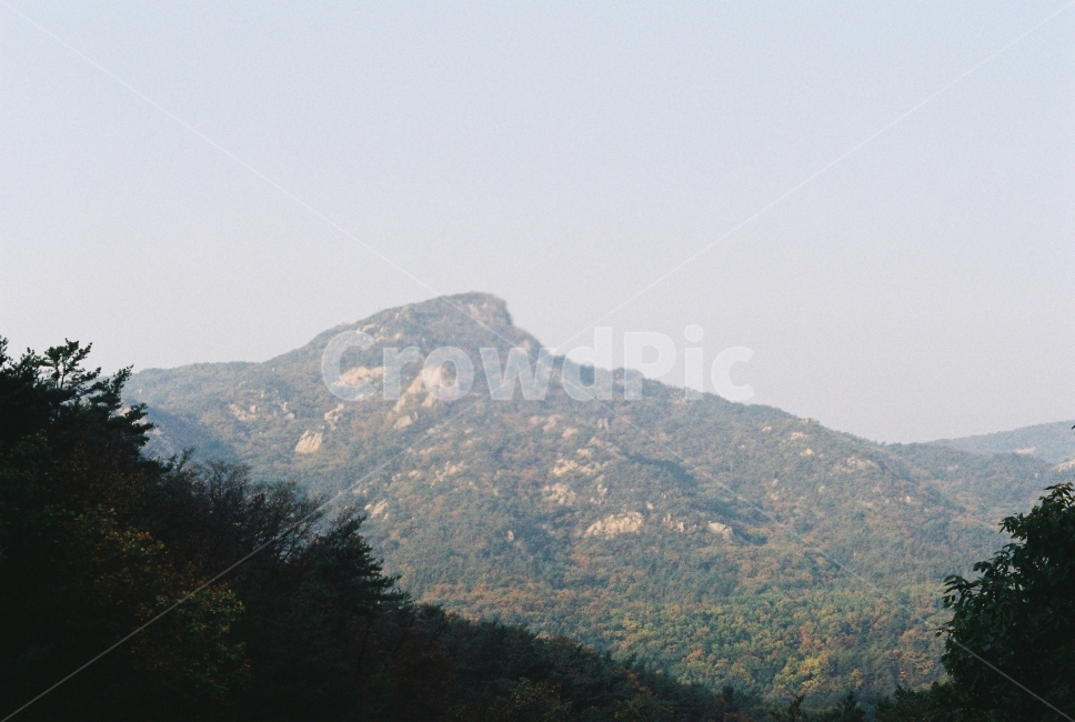자연,관악산,나무,산,가을,자연,풍경,nature,landscape,한국자연풍경,한국자연경관,korea nature landscape,outdoors,옥외,mountain,mountain range,산맥