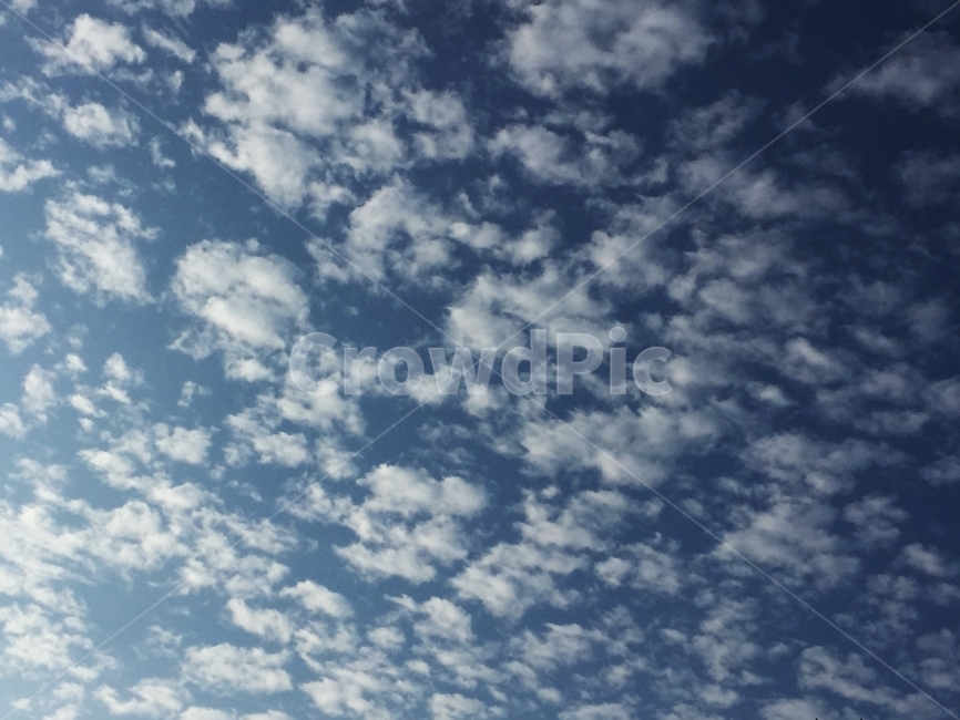 하늘,오후,파랑,구름,편안함,자연,풍경,nature,landscape,outdoors,옥외,sky