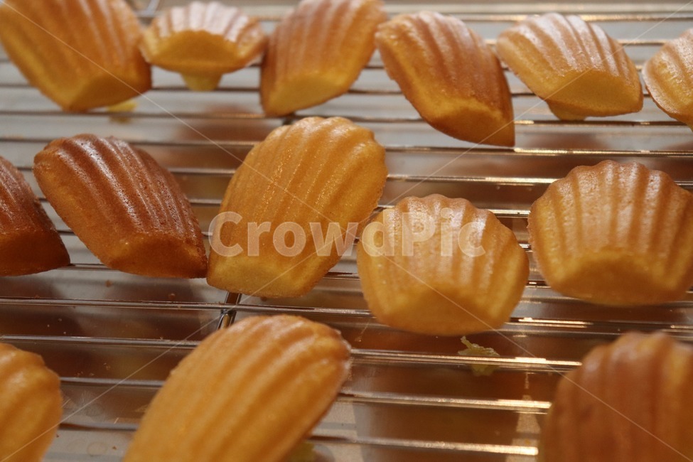 bread,빵,마들렌,구움과자,제빵,베이킹,베이커리,음식,푸드,달콤한,sweets,madeleine,디저트,후식,수제디저트,핸드메이드,빵,bread,디저트,간식,후식,dessert,snack