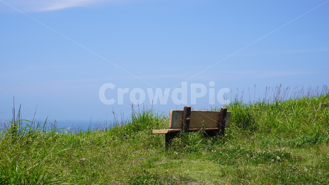풀,벤치,하늘,자연,제주도,의자,나무의자,자연,풍경,nature,landscape