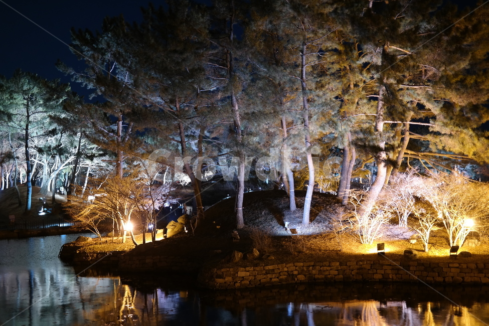 경주,유적지,야경,연못,안압지,야경,밤,풍경,nightscape,night,landscape,랜드마크,landmark,tourist attraction,한국랜드마크,한국관광지,한국명소,korea landmark,korea tourist attraction,nature,자연,outdoors,옥외,ice,빙