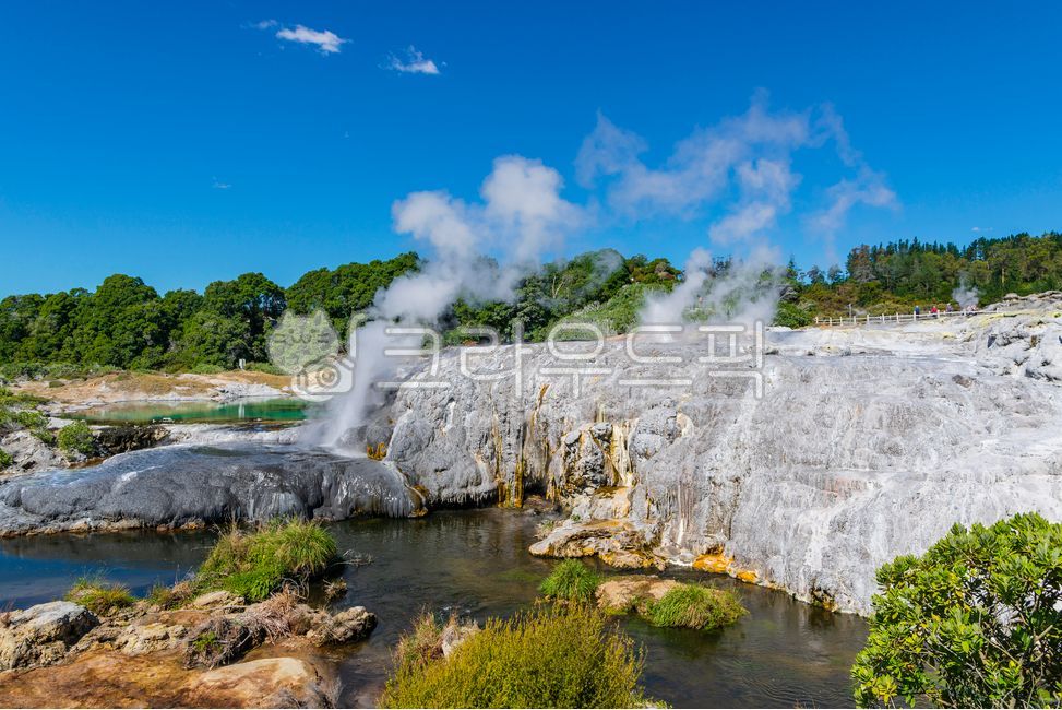 온천,뉴질랜드,로토루아,지질학,수증기,호수,유황,경관,경치,숲,나무,초록색,파란색,하늘,구름,mountain,산,nature,자연,outdoors,옥외,water,물,eruption,분화,geyser,간헐천,volcano,화산,여름