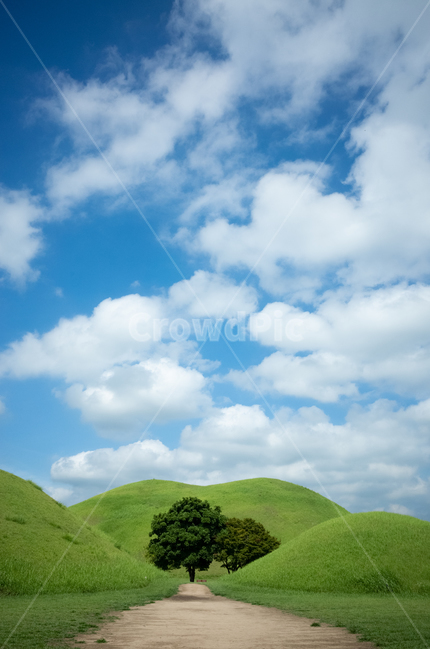 하늘,sky,파란하늘,나무,풍경,여름,summer,푸른하늘,여름하늘,대릉원,자연,풍경,nature,landscape,한국자연풍경,한국자연경관,korea nature landscape,랜드마크,landmark,tourist attraction,한국랜드마크,한국관광지,한국명소,korea landmark,korea tourist attraction,outdoors,옥외,grassland,목초지,field,들,mound,투수판