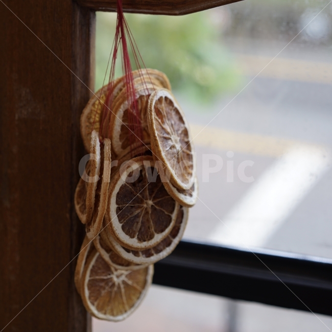 자몽,인테리어,음식,과일,장식품,소품,인테리어,실내디자인,interior design