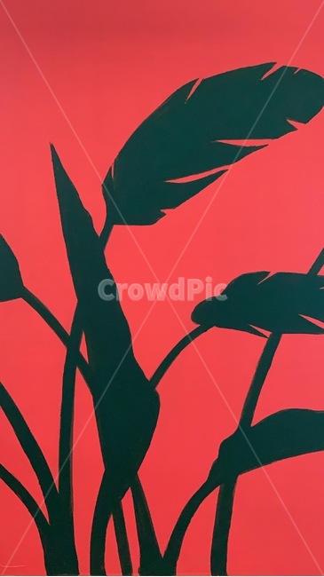 꽃,풀,팝아트,그림,식물