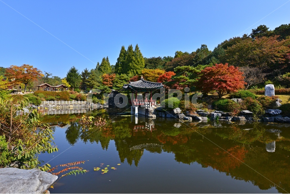 nature,자연,outdoors,옥외,architecture,건축물,water,물,plant,식물,tree,나무,현충원,국립현충원,국립,현충지,추색,가을,계절,만추,단풍,단풍잎,반영,정자,경치,경관,풍경
