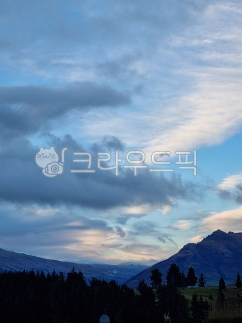 뉴질랜드,하늘,나무,새벽,새벽하늘,퀸즈타운