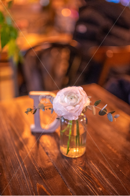 카페,감성,실내,장미,꽃병,식물,테이블,따뜻한,월계수,꽃,flower,실내용화초,화분,화초,house plant
