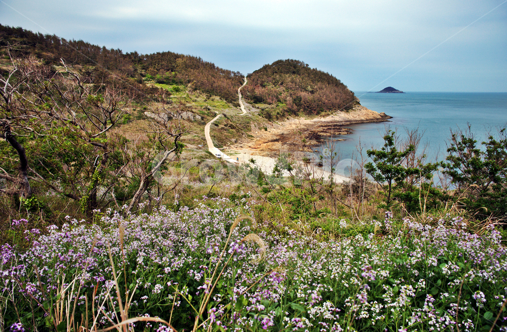 모진이몽돌해변,추자도,하추자도,올레181코스,올레코스,제주,야생화,바다,자연,풍경,nature,landscape,제주도,jeju,jeju island,promontory,곶,outdoors,옥외,water,물,shoreline,해안선,ocean,대양,sea,land,땅