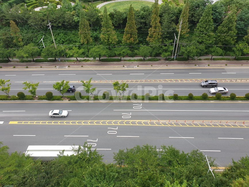 도로,가로수,차,자동차,중앙분리대,창원대로,인도,주행,차선