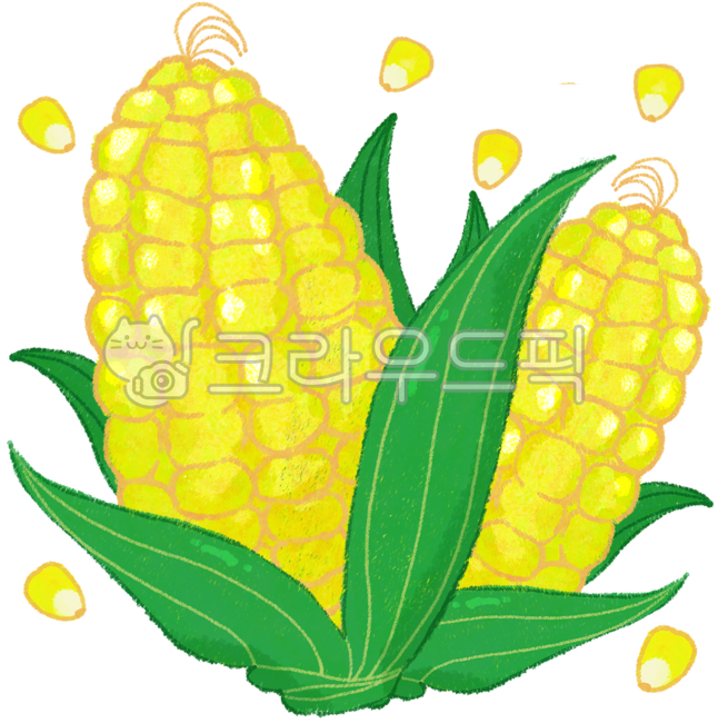 Summer vegetables,crayon corn,pastel corn,corn,yellow corn,steamed corn