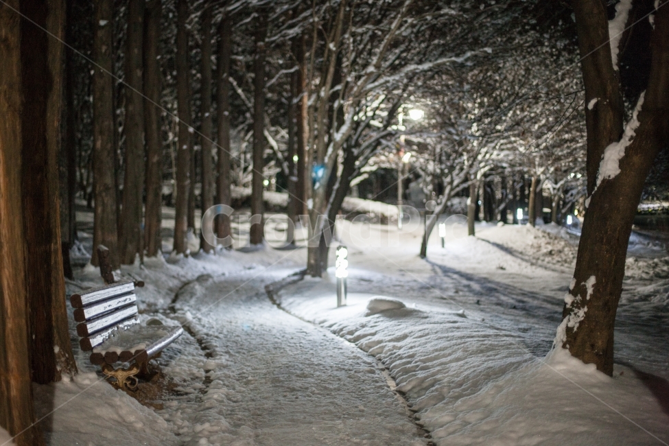 야경,겨울,눈,공원,시민공원,산책,nightview,winter,snow,겨울,계절,winter,season