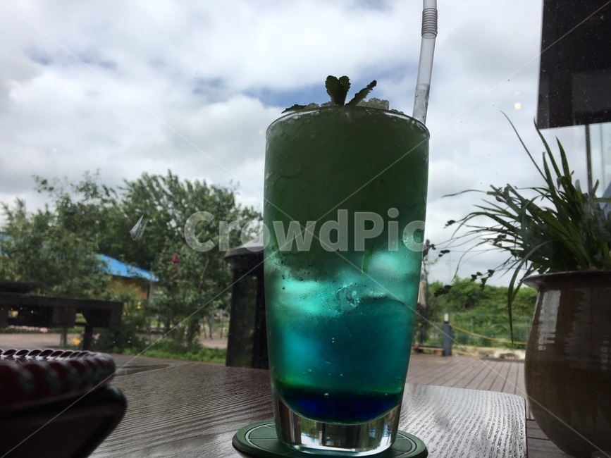 풍경,음료,하늘,나무,흐린날,음료수,drink,beverage
