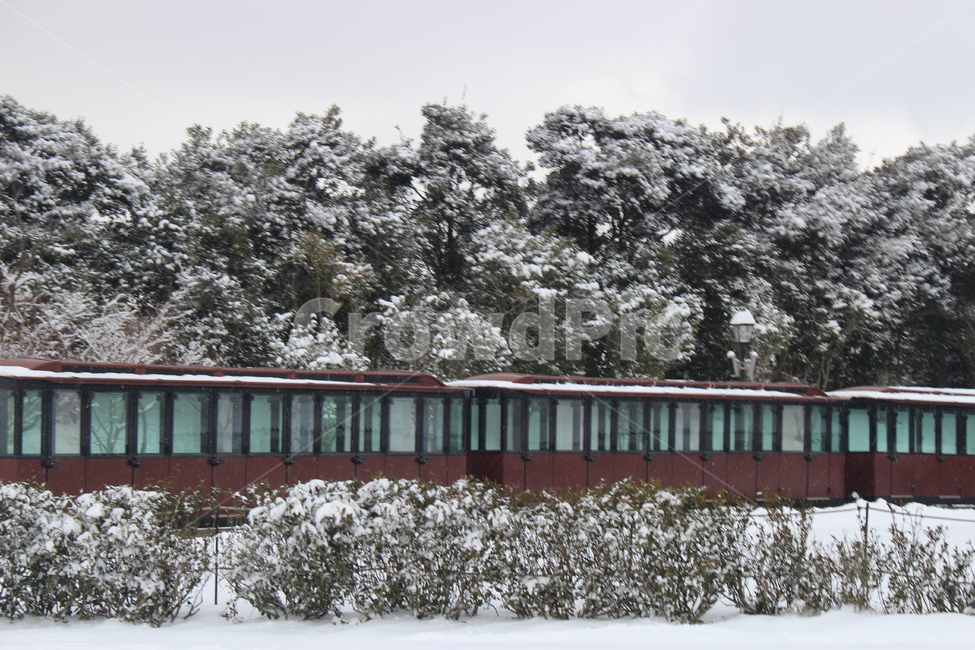 겨울,설국열차,기차,눈,흰색,겨울,계절,winter,season