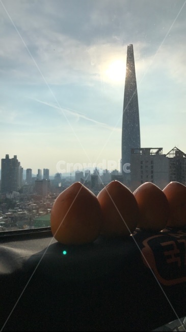 롯데타워,하늘,감,홍시,과일,lotte,tower,sky,persimmon,롯데,타워,fruit