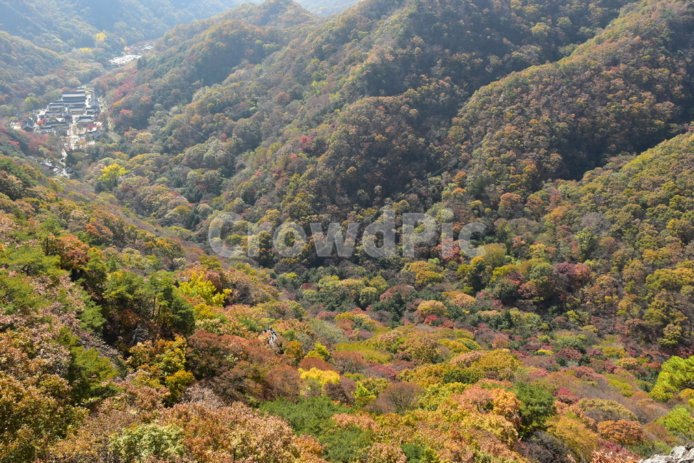 자연,풍경,단풍,계절,가을,잎,붉은,노란,낙엽,나무,백암산,fall,autumn,season,nature,landscape,한국자연풍경,한국자연경관,korea,tree,maple,leaf,가을,계절,fall,autumn,season,자연,풍경,nature,landscape,outdoors,옥외,mountain,산,hill,언덕
