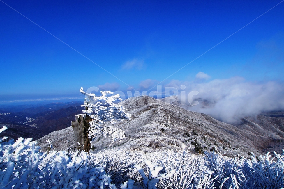 함백산,설경,풍경,상고대,정선,고한,푸른하늘,겨울,계절,winter,season,자연,풍경,nature,landscape,outdoors,옥외,mountain,산,mountain range,산맥