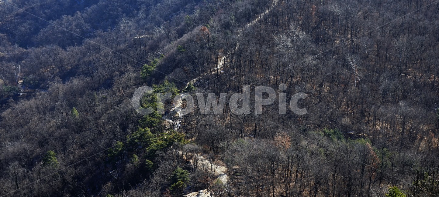 나무,빛,자연,산,겨울,숲,산길,숲길,nature,trail,path,wood,forest,winter,season,park,cold,감성,trees,woods,branch,leafless,자연,풍경,nature,landscape,경치,outdoors,옥외,scenery,aerial view,조감도