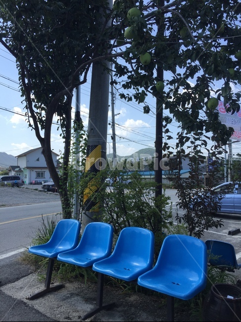 의자,파란색의자,시골,자연,나무,하늘