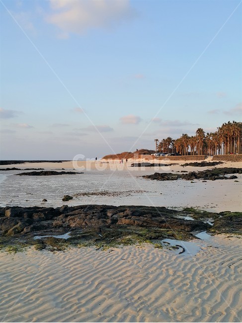 제주해변,금능해변,바다,모래,모래물결,jeju,ocean,sea,sand,sandwave,자연,풍경,nature,landscape,제주도,jeju,jeju island,promontory,곶
