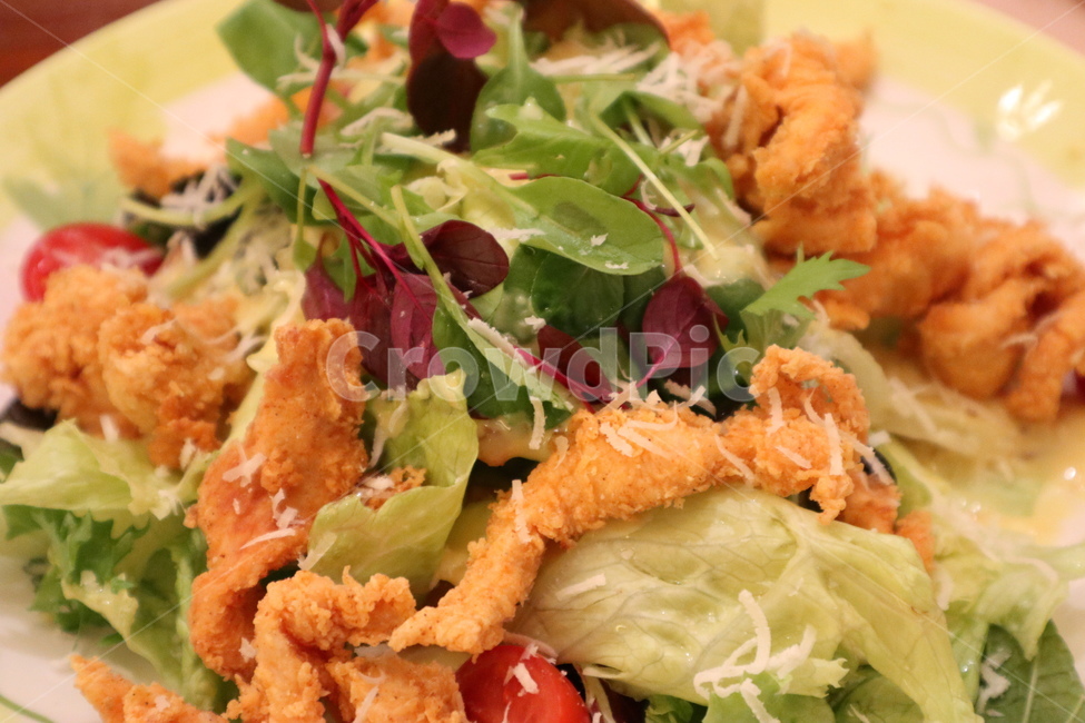 치킨샐러드,샐러드,치킨,케이준,야채,음식,식재료,요리,food,cook,meal,dishes,food reserves
