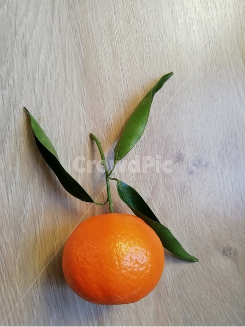 과일,food,fruit,citrusfruit,주황색,감귤류과일,orange,plant,식물,음식