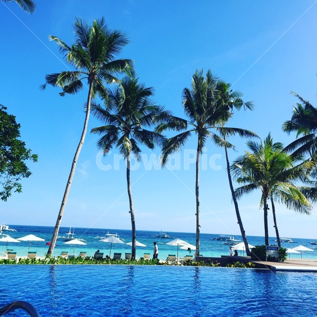summer,여름,바다,전경,수영장,야자수,여름,계절,summer,season,해외,외국,세계,foreign,oversea,world