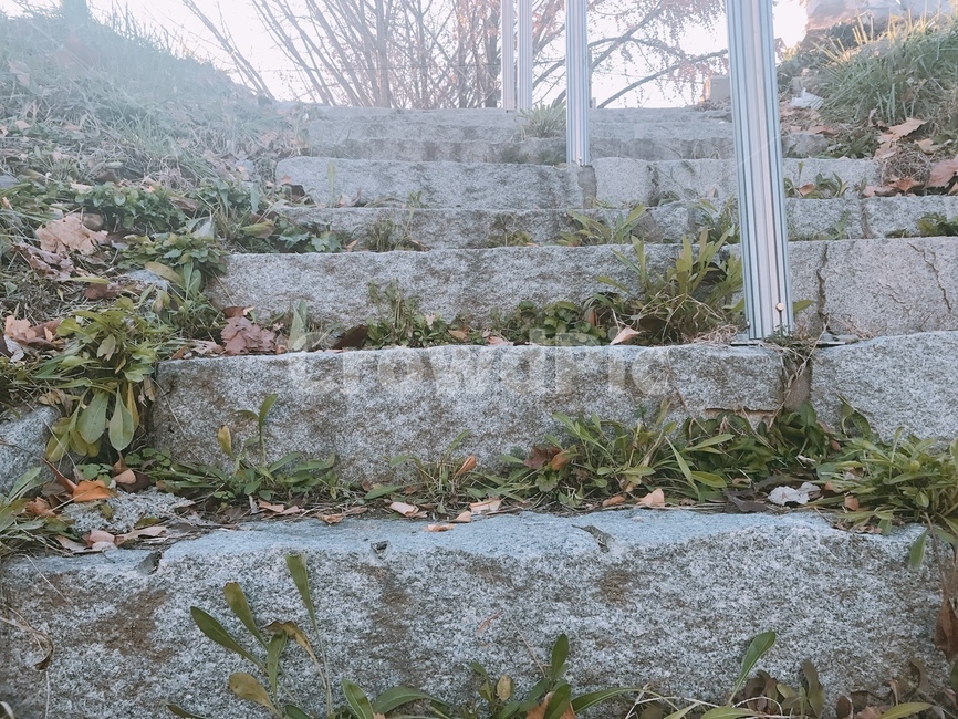 돌,계단,풍경,판석,슬레이트