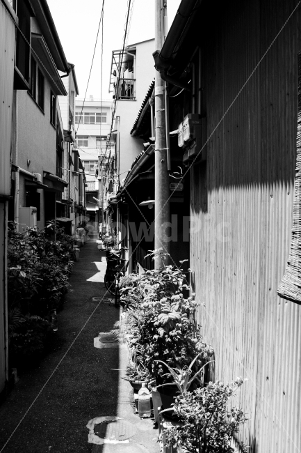 골목,일본,오사카,빈티지,흑백,오래된거리,도시,풍경,city,landscape,골목길,alley,해외,외국,세계,foreign,oversea,world,흑백,모노톤,monochrome,black and white,road,도로,street,거리,building,건물,town,시티,urban,어반