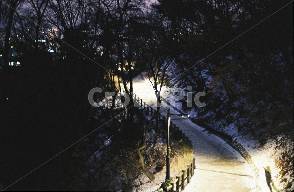 산,겨울,눈,mountain,겨울길,산길,감성,가로등,필름,자연,풍경,nature,landscape,야경,밤,nightscape,night