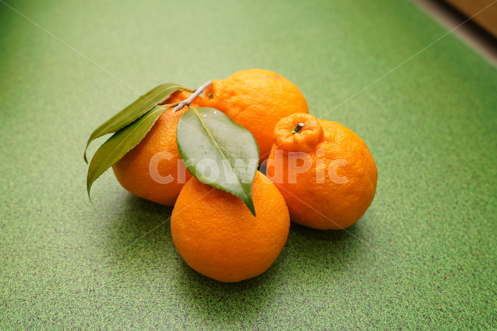 과일,한라봉,fruit,후식,food,컬러,orange,주황색,감귤류과일,음식,음식,식재료,요리,food,cook,meal,dishes,food reserves,과일,열매,fruit