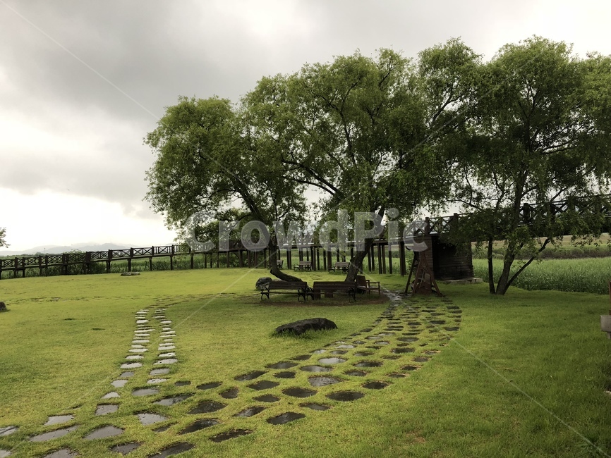 grass,잔디,plant,식물,outdoors,옥외,야외,숲,산책,길,밭,나무,자연,공원,nature,의자,소풍,흐림,구름,하늘,생태공원,돌길,자연,풍경,nature,landscape