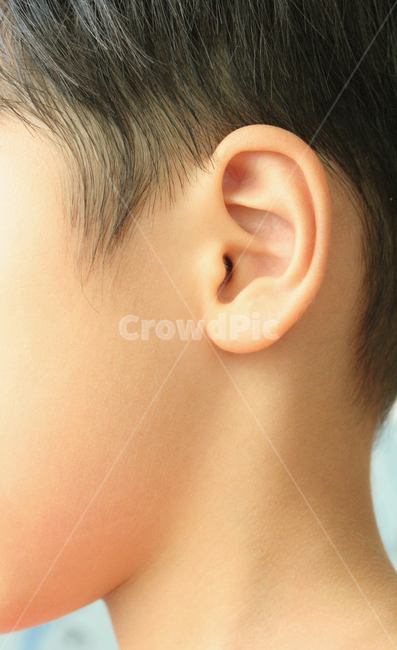 asian,baby,body,boy,child,closeup,ear,hair,head,human,kid,listen,men,people,person,skin,sound,young,동양인,아시아인,어린이,아이,아기,소년,남자아이,남자,신체,몸,클로즈업,얼굴,머리,머리카락,키즈,사람,피부,귀,소리,젊은,듣기,귓바퀴,옆모습,구렛나루,사람,인물,인간,human,person,신체일부,몸,body,어린이,어린아이,child,children,kid