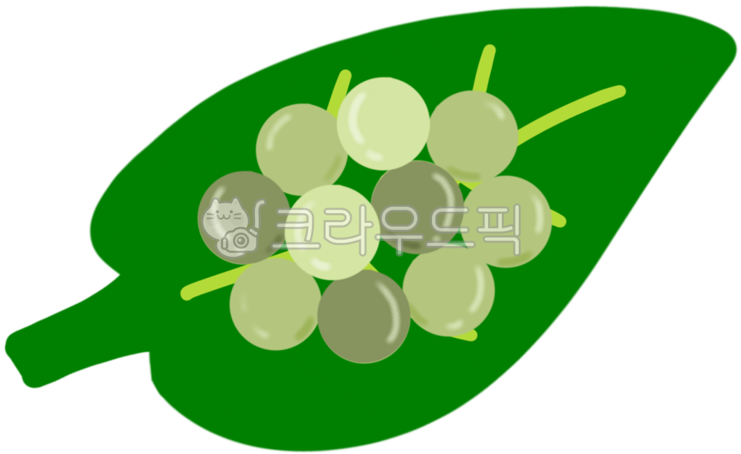 나비알,나비,나비성장,곤충알,곤충성장,알