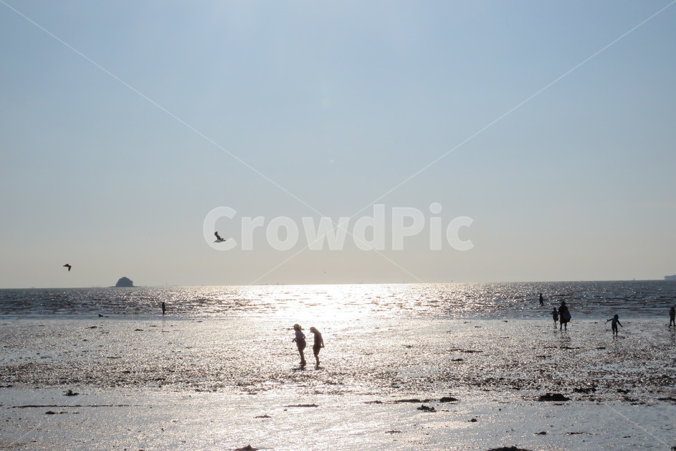 바닷가,노을,모래,모래사장,감성사진,갯뻘,사람,모험,자연,풍경,nature,landscape,adventure,leisure activities,레저 활동,animal,동물,bird,새